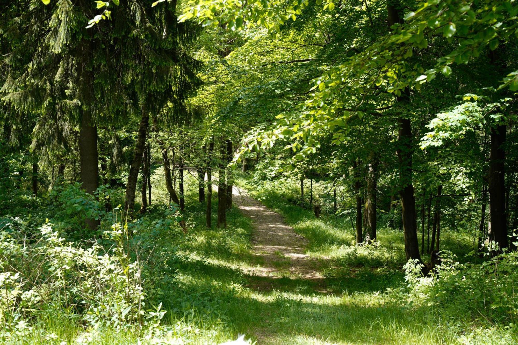 Ferienhaeuser Olbernhau Erzgebirge المظهر الخارجي الصورة